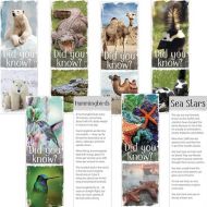 Fun Facts Animal Bookmark PD137-6296